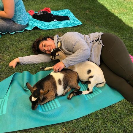 The Blissful Goat Yoga Group Session with Endless Photo Ops & Baby Goat Cuddles image 10