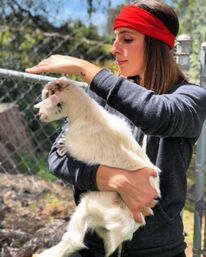 The Blissful Goat Yoga Group Session with Endless Photo Ops & Baby Goat Cuddles image 14