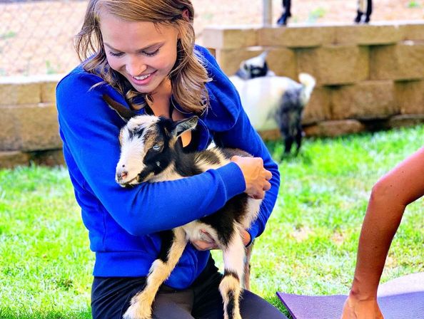 The Blissful Goat Yoga Group Session with Endless Photo Ops & Baby Goat Cuddles image 1