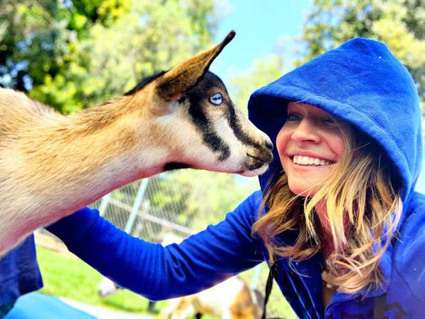 The Blissful Goat Yoga Group Session with Endless Photo Ops & Baby Goat Cuddles image 15