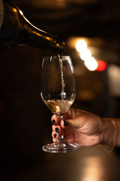 Speakeasy Wine Cave Tasting Experience - 9 Wines & Food Pairings image 21