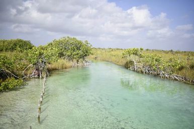 Tulum-Core Vibes: Mayan Ruins and Secret Cenotes at Muyil Lazy River image 2