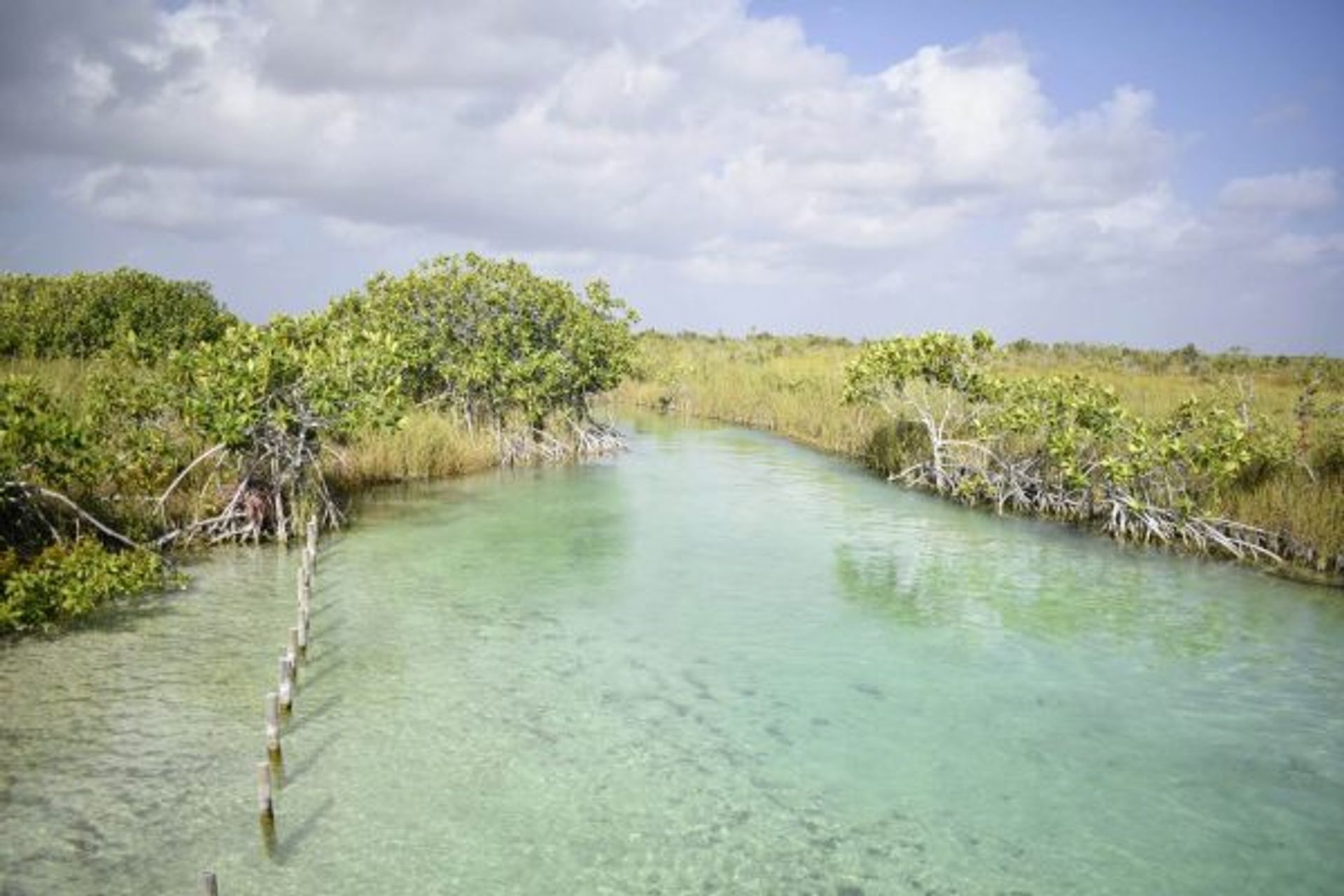 Tulum-Core Vibes: Mayan Ruins and Secret Cenotes at Muyil Lazy River image 2