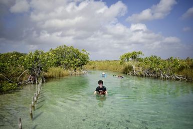 Tulum-Core Vibes: Mayan Ruins and Secret Cenotes at Muyil Lazy River image 13
