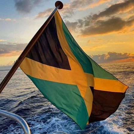 Private Jamaica Transfers & Adventure Tours from Montego Bay image 1