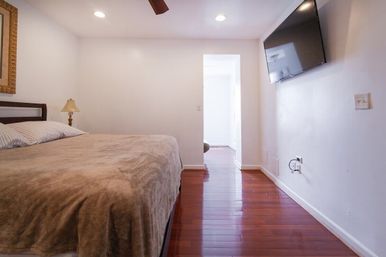 Grand Petworth Escape: Private Backyard + Near Metro image 13
