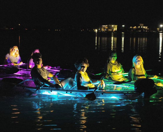 Magical Glowing Kayaking Tour Under The Stars  image 7