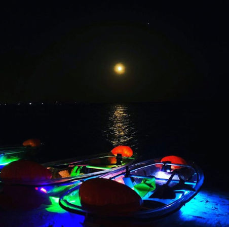 Magical Glowing Kayaking Tour Under The Stars  image 10