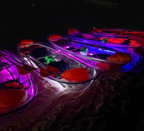 Magical Glowing Kayaking Tour Under The Stars  image 11