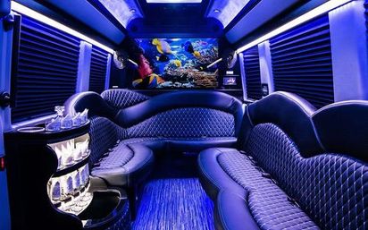 Tropix Luxury Rides: Limos, Sprinters & Party Buses image 1