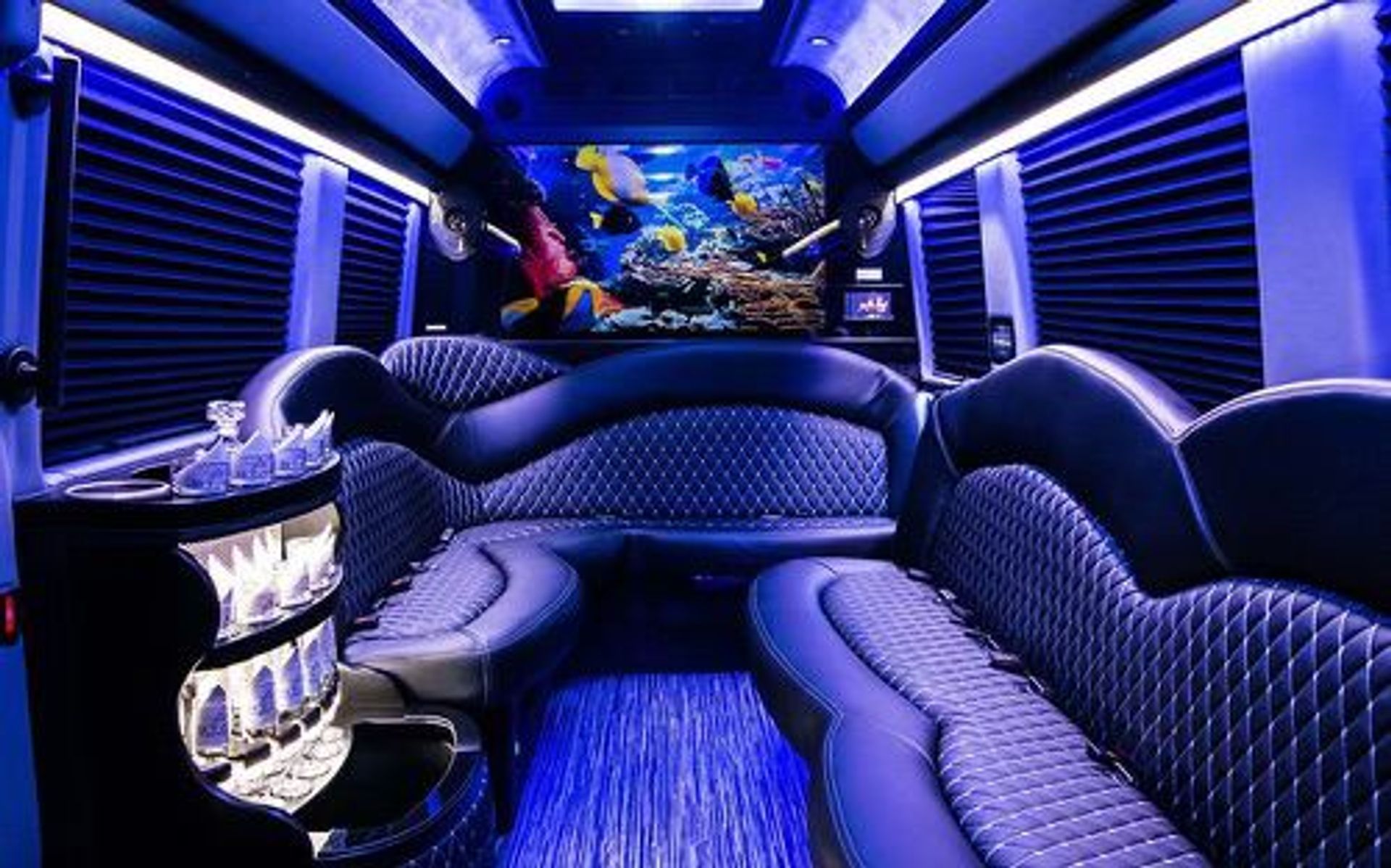Tropix Luxury Rides: Limos, Sprinters & Party Buses image 1