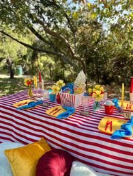 Customizable Luxury Popup Picnic: Great for the Beach, Park, or Airbnb image 9