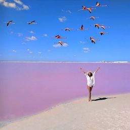 Rio Lagartos & Las Coloradas Tour image 1