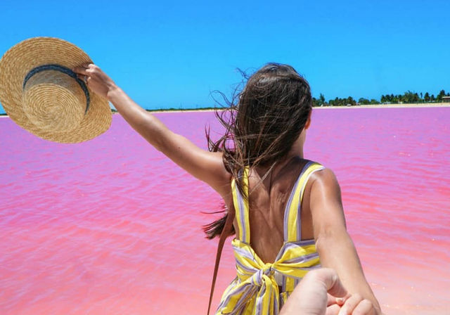 Rio Lagartos & Las Coloradas Tour image 2