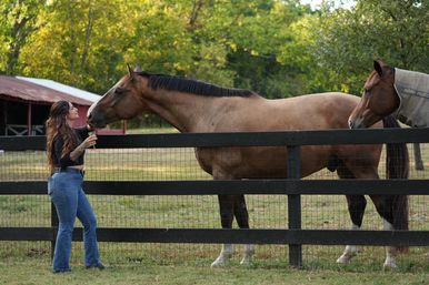 Pinot & Pasta Party at Your Airbnb or Local Horse Farm: A Home style Italian Feast with authentic recipes & Imported Treats! image 34