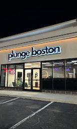 Plunge Boston: The Ultimate Group Recovery Experience image 11
