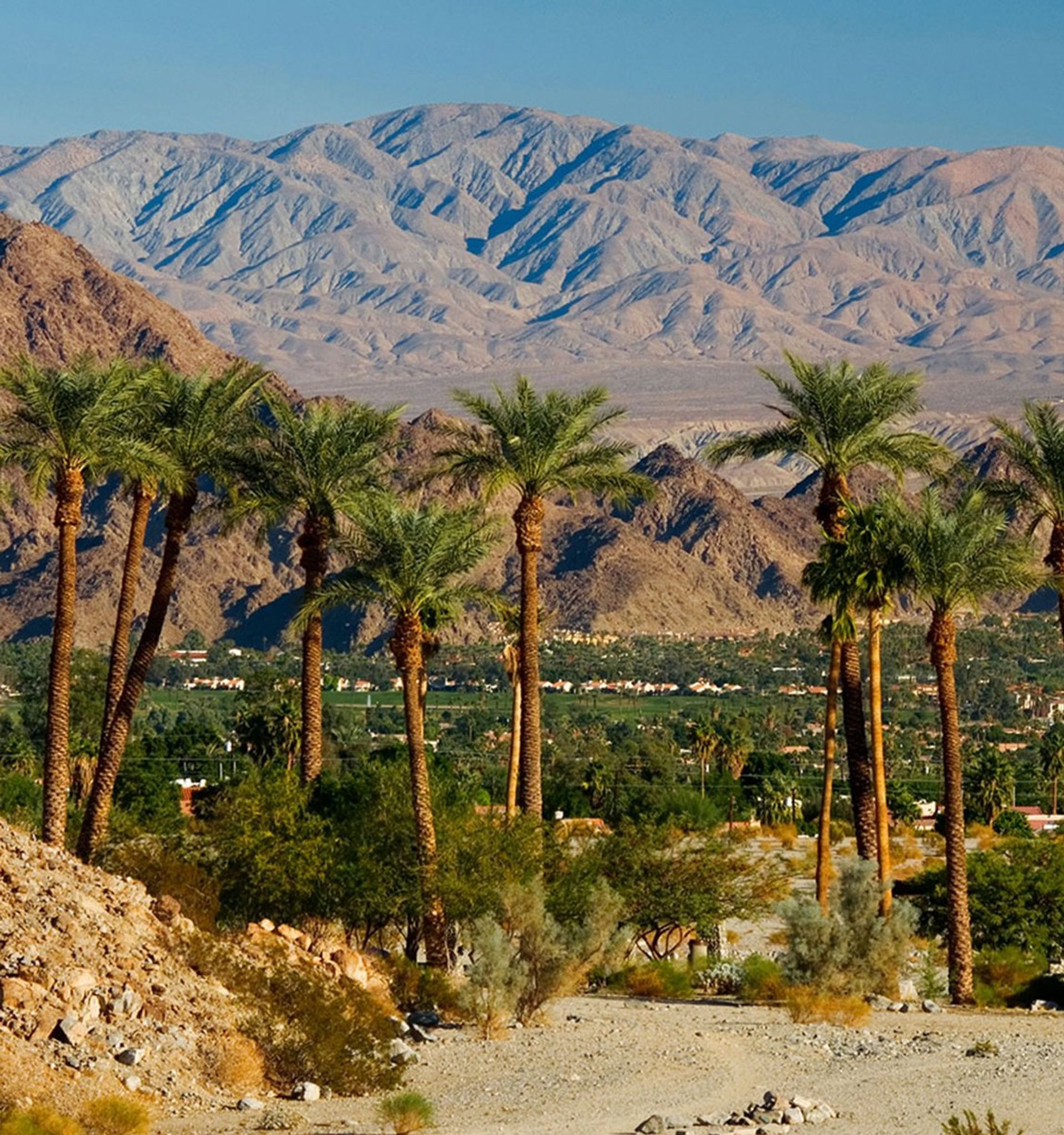 Coachella Valley Preserve image 1