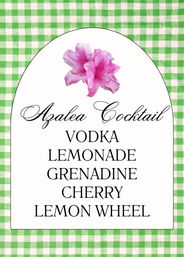 Curated Party & Bachelorette Kits for Effortless Hosting image 13