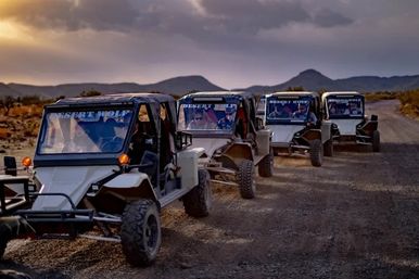 ATV Tour & Machine Gun Adventure image 8