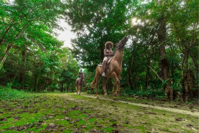 Horse Riding Adventure in Puerto Morelos with ATV, Zipline & Cenote Swim image 8