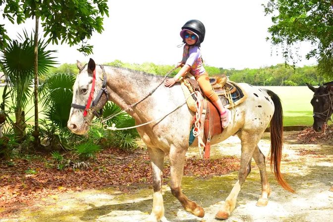 Horse Riding Adventure in Puerto Morelos with ATV, Zipline & Cenote Swim image 9