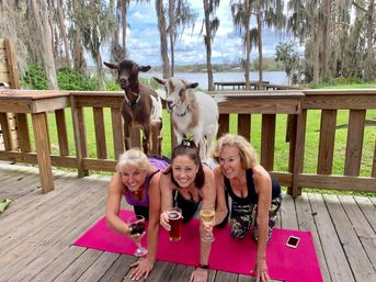 Goat Yoga Lakeside Under Gorgeous Oak Trees + Beer, Wine or Champagne After Class image 1
