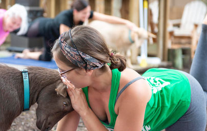 Goat Yoga Lakeside Under Gorgeous Oak Trees + Beer, Wine or Champagne After Class image 7