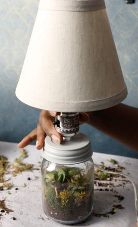 Light & Lush: Make a Living Lamp Terrarium image 1