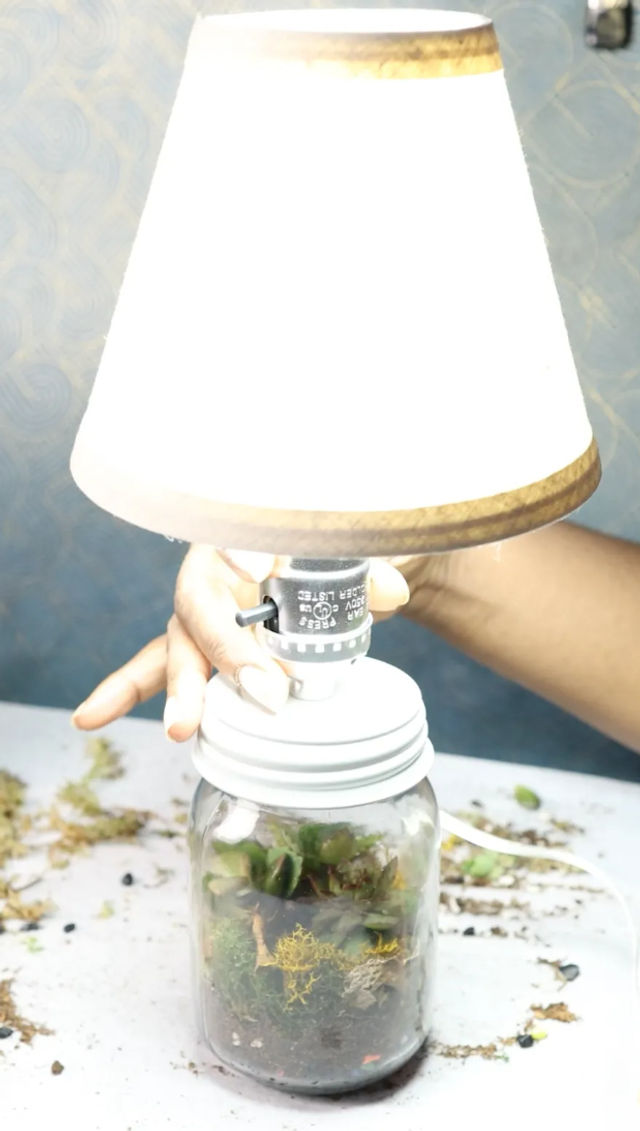 Light & Lush: Make a Living Lamp Terrarium image 4