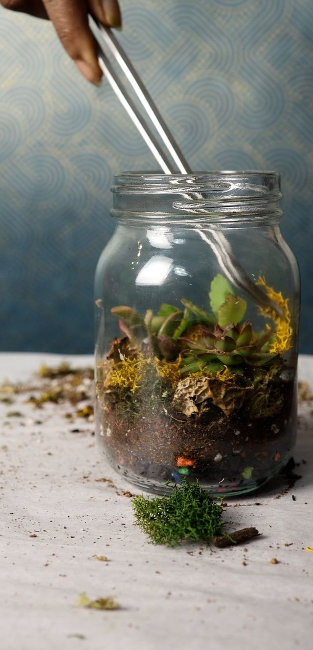 Light & Lush: Make a Living Lamp Terrarium image 3