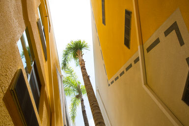 Staypineapple Hotel Z in the Gaslamp Quarter image 13