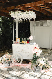 Bottomless Mimosa Bar: Catered Champagne Cart for Ultimate Brunch Vibes image 7