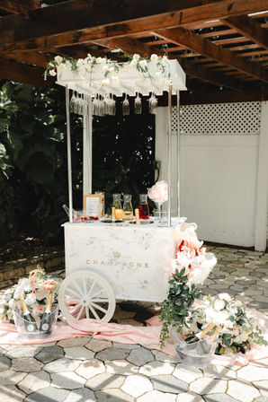 Bottomless Mimosa Bar: Catered Champagne Cart for Ultimate Brunch Vibes image 7