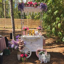 Bottomless Mimosa Bar: Catered Champagne Cart for Ultimate Brunch Vibes image 4
