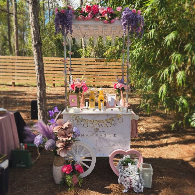 Bottomless Mimosa Bar: Catered Champagne Cart for Ultimate Brunch Vibes image 4