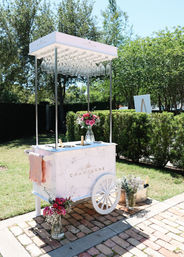 Bottomless Mimosa Bar: Catered Champagne Cart for Ultimate Brunch Vibes image 8