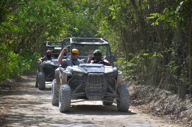 Ziplining, ATV Off-Road & Horseback Riding Combo image 1