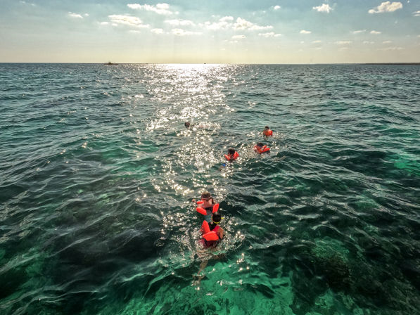 Family Friendly Catamaran Tour to Isla Saona with Lunch & Open Bar image 7