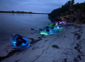 Night Time Glowing Clear Kayak Tour of Shell Key Preserve image 17