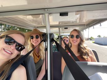 Gelato Tour: 3 Delicious Tastings of Scottsdale's Gelato with Mural Stops image 7