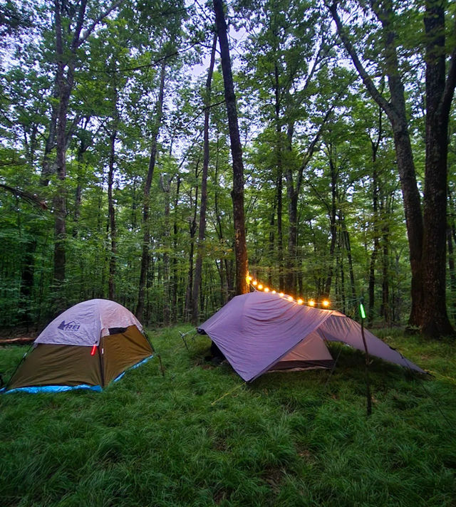 Guided Overnight Camping Experience for Beginners image 4