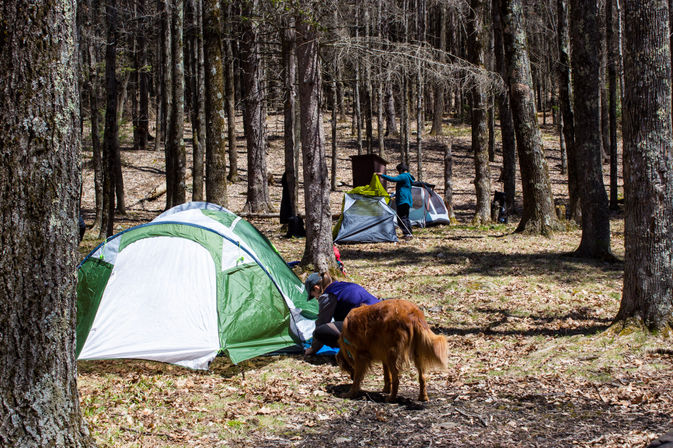 Guided Overnight Camping Experience for Beginners image 3