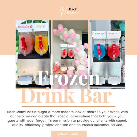 Boozy Frozen Drink Bar with Optional Server: Cool Down in the Florida Heat image 11