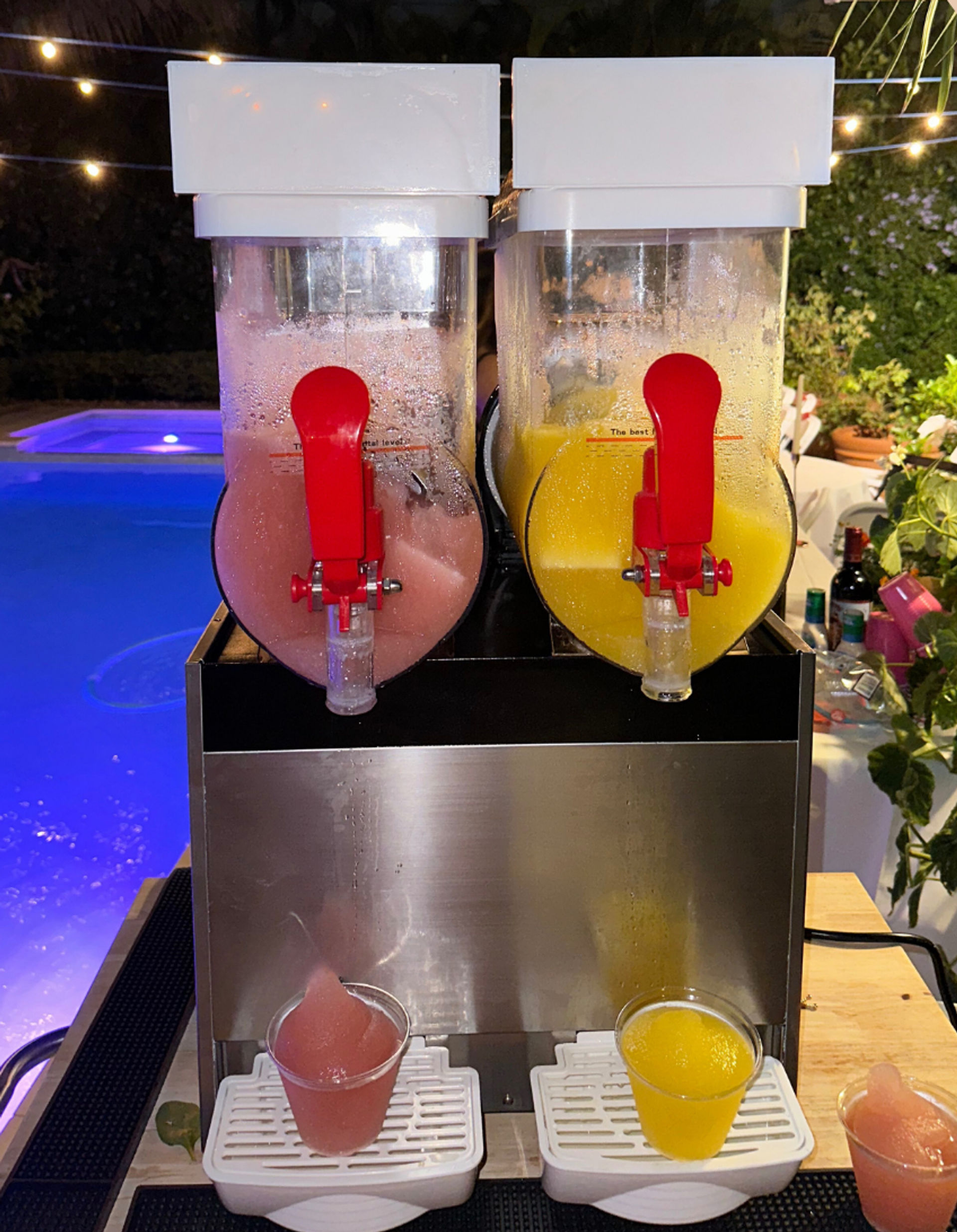 Boozy Frozen Drink Bar with Optional Server: Cool Down in the Florida Heat image 1