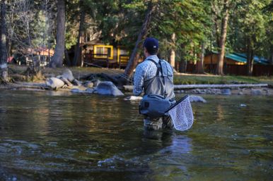 Custom Rocky Mountain & Front Range Tours image 8