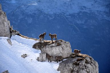 Custom Rocky Mountain & Front Range Tours image 6