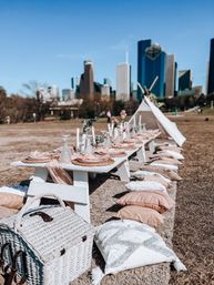 Luxury Outdoor Picnic Experience Houston image 5