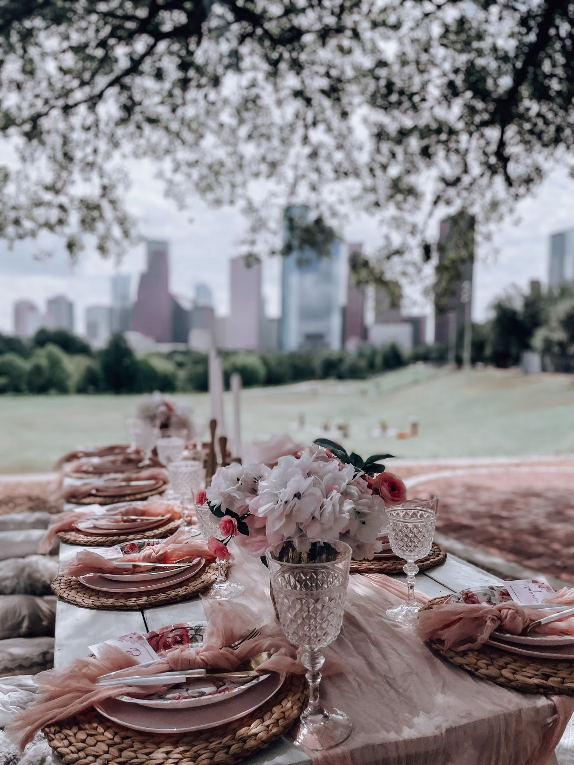 Luxury Outdoor Picnic Experience Houston image 1