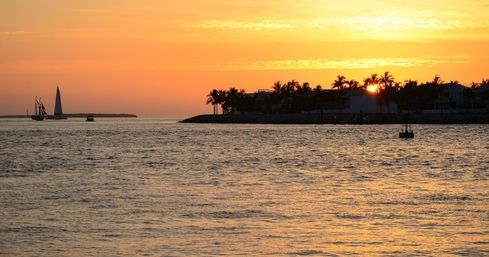 Key West Kayak & Paddleboard Tours of Mangroves, Sunset Harbor & Full Moon image 2