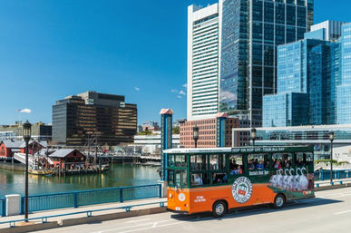 Hop-On Hop-Off Trolley Tour of Boston image 8